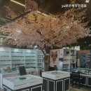 밝은세상 안경원 이미지