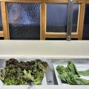 백양산하얀농원 이미지