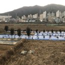 웜밀 이미지