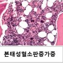 보훈행정사 이미지