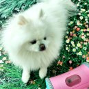 운동노리(NORI) 이미지