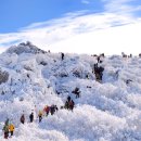 산정목장 1 이미지