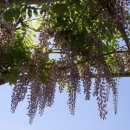 장목초등학교 이미지