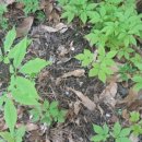 읍내3통마을회관 이미지