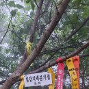 칠갑주차장 이미지