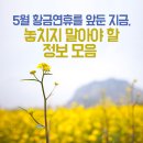 5월 황금연휴를 앞둔 지금, 놓치지 말아야 할 정보 모음 이미지