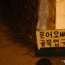 제주도파티게스트하우스문어오빠