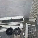 구룡서길 이미지