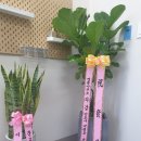 세무법인광장 이미지
