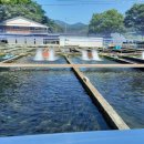 옥동양어장 횟집 이미지