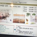 스파인더파리