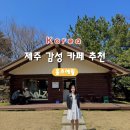 [제주 감성 카페 추천] 홀츠애월 야외 테라스 카페, 베이커리 추천 및 음료 후기