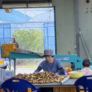 한림농원 이미지