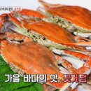 언덕위에 작은 민박 이미지