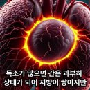 119. 당뇨. 고혈압. 지방간, 약없이 조절하고 싶다면? 만성 질환을 뿌리 뽑는 해독 원리 이미지