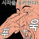 이스토리 이미지