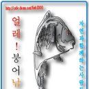 5월의 남도 원정 - 눈부신 초록의 노래와 향기를 안고 이미지