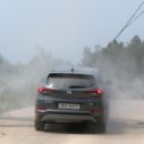 순천만자연드림목장 이미지