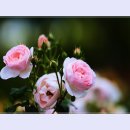 곡성-091 티스토리