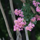 가현어린이공원 이미지