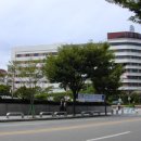 유성온천 Daum카페