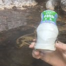 [레모니 일본여행] 일본 후카오카 &#39;하카타역&#39; 숙소 &amp; 맛집 &amp; 놀거리