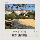 새신라체육관 | 아이랑 제주 신라호텔 | 테라스 패밀리 트윈룸 온돌룸 3박 후기 | 부대시설 프로그램