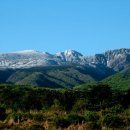 국제보청기프라자 이미지