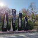 진안마이산장어 이미지