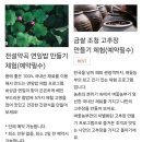[김포/벼꽃농부] 로컬푸드 복합문화공간 방문기(고추장, 맷돌커피 만들기 등)