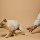 아이디어랩스튜디오 이미지