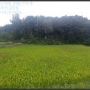 백곡보건진료소 이미지