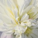 보테니컬아트 이미지