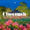 청도레일바이크 이미지