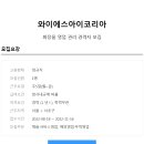 와이에스아이 이미지