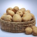 (주)그린아그로 이미지