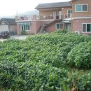 행복의집 이미지