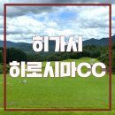 지몽드골프