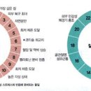 뒤죽박죽 이미지