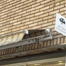 앞산강아지 이미지