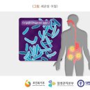 ﻿세균성 이질[shigellosis] ﻿ 이미지