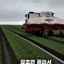 엔비디아 GPU 24개 = 인간 75명 일자리 이미지