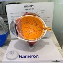 연세우리안과의원 이미지