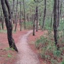 월송정로2 (중2-1) 이미지