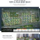 더퍼스트 이미지