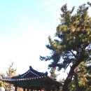 갯목마을 네이버블로그