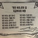 옹달샘시장화장실 | 난 가끔 슬플 때 속초를 가,