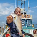 7월 27일 오천항 길손피싱호 백조기낚시^^ 이미지