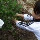 홍천애플비발디파크 이미지