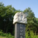 박진장군묘 이미지